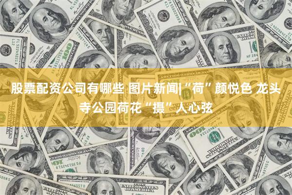 股票配资公司有哪些 图片新闻|“荷”颜悦色 龙头寺公园荷花“摄”人心弦