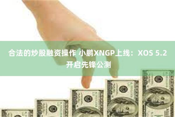 合法的炒股融资操作 小鹏XNGP上线：XOS 5.2 开启先锋公测