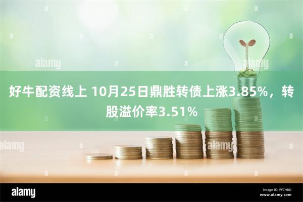 好牛配资线上 10月25日鼎胜转债上涨3.85%，转股溢价率3.51%