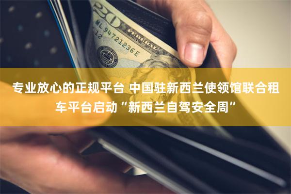 专业放心的正规平台 中国驻新西兰使领馆联合租车平台启动“新西兰自驾安全周”