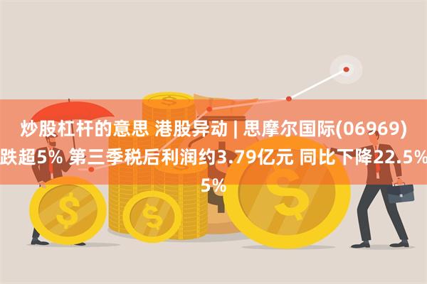 炒股杠杆的意思 港股异动 | 思摩尔国际(06969)跌超5% 第三季税后利润约3.79亿元 同比下降22.5%