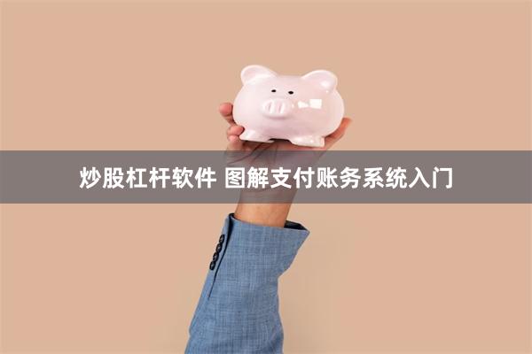 炒股杠杆软件 图解支付账务系统入门