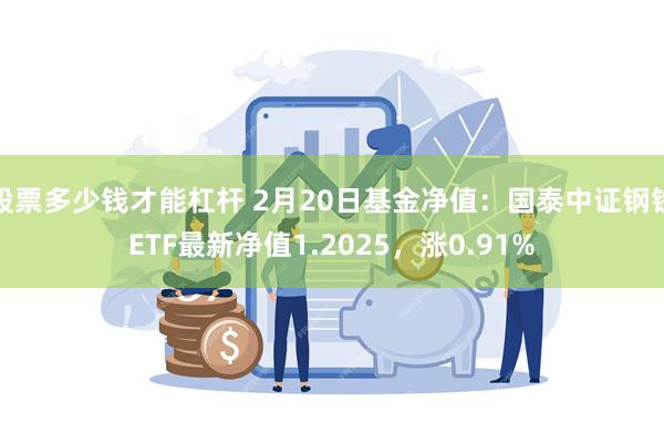 股票多少钱才能杠杆 2月20日基金净值：国泰中证钢铁ETF最新净值1.2025，涨0.91%