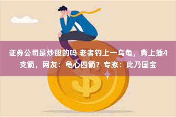 证券公司是炒股的吗 老者钓上一乌龟，背上插4支箭，网友：龟心四箭？专家：此乃国宝